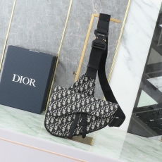 Christian Dior Saddle Bags